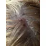 Clairol - Nice n easy sb2 - Photo 1