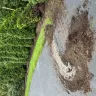 Amazon - Amazon property damage processing - amazon driver delivery damage to property - Photo 1