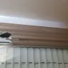 National Floors Direct - Damage done to my house!!! - Photo 1