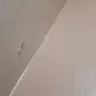 NYC Housing Authority [NYCHA] - Tenant 15a - Photo 1