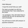 Amazon - Two stolen amazon gift cards totaling $400 - Photo 3