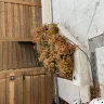 Oncor - Leaving a hole in my back yard and a wire traveling across the yard. - Photo 1