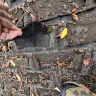 Fleetwood Homes - Roof shingle - Photo 1