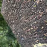 Fleetwood Homes - Roof shingle - Photo 4
