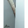 Surf or Sound Realty - DON’T RENT! - Photo 1
