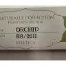 BestWigOutlet - Estetica Orchid in R8/26H - Photo 1