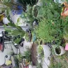 Hometown America - Neighbors are hoarders - Photo 2