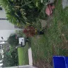 Hometown America - Neighbors are hoarders - Photo 1