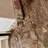 Sylvan Homes - Don’t set yourself up - Photo 8