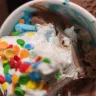 Friendly's Ice Cream / Friendly’s Manufacturing & Retail - Missing Cake in ice cream cake cups