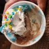 Friendly's Ice Cream / Friendly’s Manufacturing & Retail - Missing Cake in ice cream cake cups