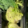 Food Lion - Food lion vegetable department on Horner Blvd. Sanford, NC - Photo 2