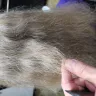Educe Salon Orlando Florida - Uneven haircut, overprocessed hair, unsuccessful color correction  - Photo 2