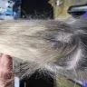 Educe Salon Orlando Florida - Uneven haircut, overprocessed hair, unsuccessful color correction  - Photo 4