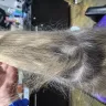 Educe Salon Orlando Florida - Uneven haircut, overprocessed hair, unsuccessful color correction  - Photo 5