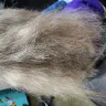 Educe Salon Orlando Florida - Uneven haircut, overprocessed hair, unsuccessful color correction 