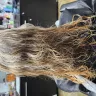 Educe Salon Orlando Florida - Uneven haircut, overprocessed hair, unsuccessful color correction 