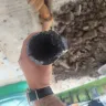 Mr. Rooter - Plumbing line clog - Photo 1