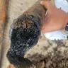 Mr. Rooter - Plumbing line clog - Photo 3