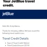 JetBlue Airways - Travel bank credits