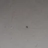 Red Roof Inn - red roof inn - Photo 1