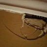 American Carpet South Inc. - Damages, poor workmanship,  and removed/taken phone jack  - Photo 3