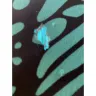 Chico's - Graphic wings maxi dress - Photo 1