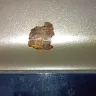Ford - Ford Taurus steel components and peeling paint - Photo 2