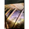 Conrex Property Management - I went to hell and meet the devil. His name was Conrex - Photo 6