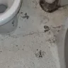 VRBO - Apartment smelled of cleaning products and vomit, not as described - Photo 4
