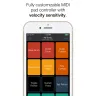 MidiPad 2 - mostly a real nice app