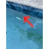 Payne Pool Professionals - Poor workmanship resulted in $16k repair bill! - Photo 1
