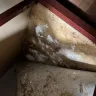 Extended Stay America - Horrible treatment, maintenance, roaches, etc. - Photo 11