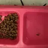 Extended Stay America - Horrible treatment, maintenance, roaches, etc. - Photo 22