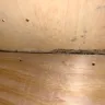 Extended Stay America - Horrible treatment, maintenance, roaches, etc. - Photo 3