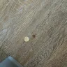 Extended Stay America - Horrible treatment, maintenance, roaches, etc. - Photo 17