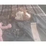 Goodwill Industries - Clothing, service and staff - Photo 2