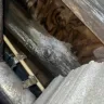 Allstate Insurance - Homeowners claim - Photo 2