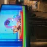 Nickelodeon - Nickelodeon tv broadcasting services 