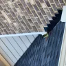 Dream Finders Homes - New Construction Repairs - Photo 3