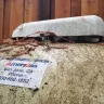 AmeriGas Propane - Dangerous propane tank issue ignored - Photo 1