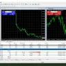 Exness - Exness software error, exness has confirmed it is an error from exness but no compensation - Photo 3