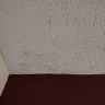 Red Roof Inn - Cleaning and customer service - Photo 11