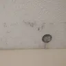 Red Roof Inn - Cleaning and customer service - Photo 1