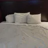 Red Roof Inn - Cleaning and customer service - Photo 12