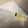 Campbell's Soup Co - Bug floating in campbell's classic chunky chicken soup