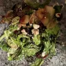 Wendy’s - Apple pecan salad
