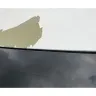 General Motors - Flaking paint on 2020 silverado high country 1500 - Photo 1