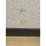 United Vacations - Red Roof  inn  - Photo 12