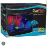 Pet Supplies Plus - Was denied purchasing a fish by manager. I own an empty fish tank! - Photo 3